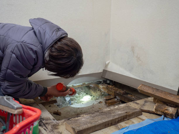 Best Indoor Air Quality Assessment  in Adams, WI