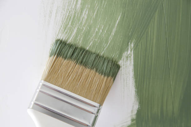 Best Basement Mold Removal  in Adams, WI