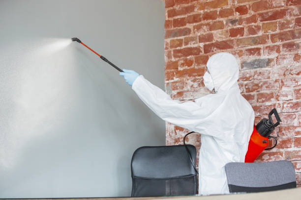 Best Airborne Mold Testing  in Adams, WI