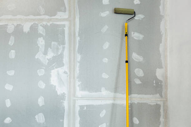 Best Mold Removal for HVAC Installations  in Adams, WI