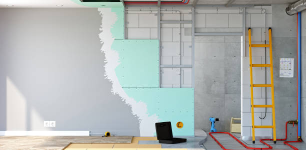 Best Mold Damage Restoration  in Adams, WI
