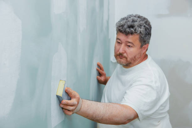  Adams, WI Mold Removal Pros