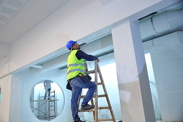 Best Real Estate Mold Inspection  in Adams, WI