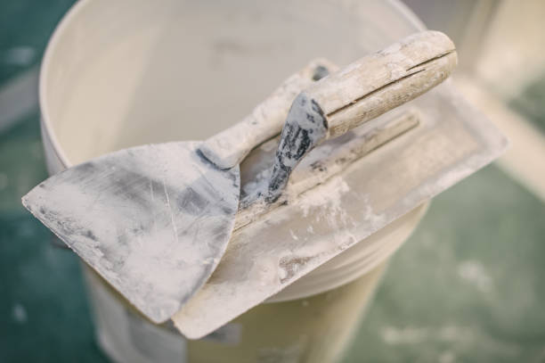 Best Environmental Consulting for Mold Prevention  in Adams, WI