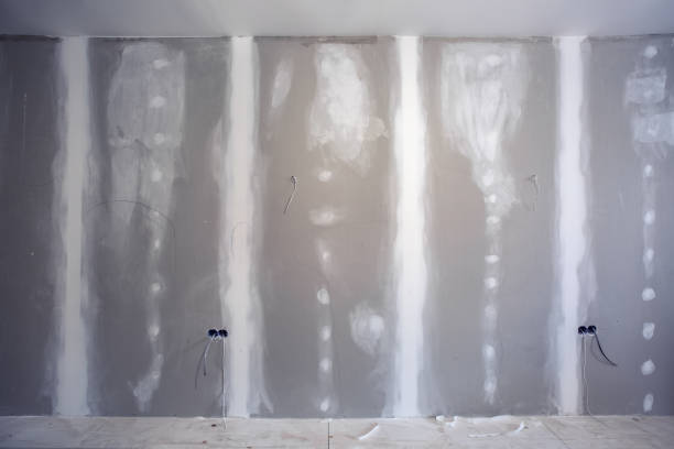 Best Mold Odor Removal Services  in Adams, WI